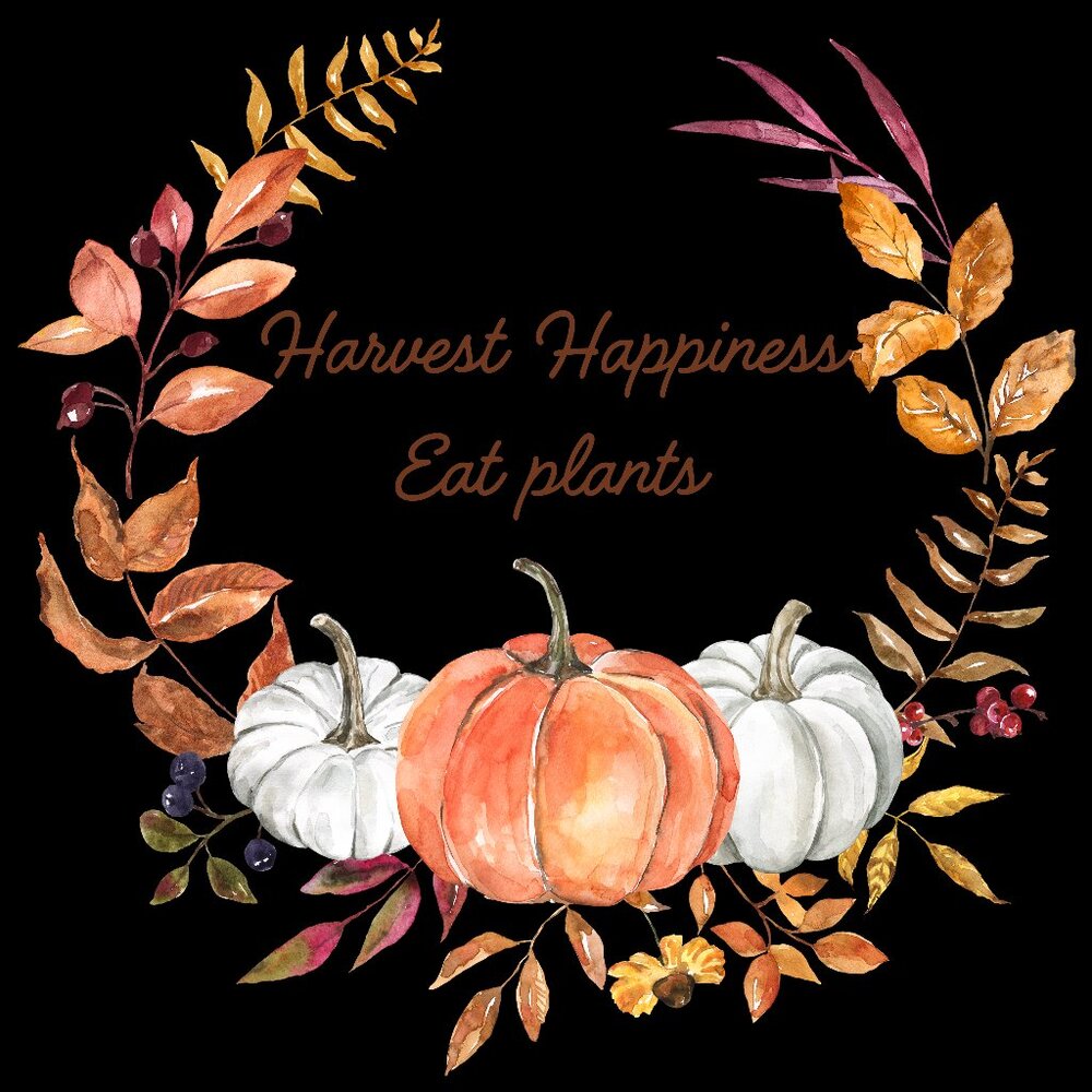 Harvest Happiness Fall Shirt - Seasonal tee with vegan vegetarian message